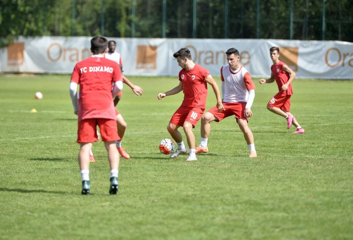 GALERIE FOTO Legendele lui Dinamo și-au făcut apariția în cantonamentul "cîinilor"