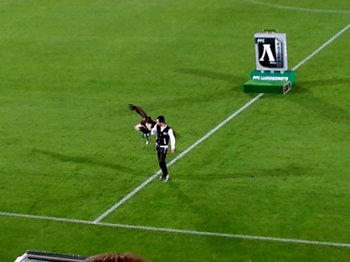 VIDEO+FOTO Keșeru, Prepeliță și Moți au terminat la egalitate cu trupa lui Reghecampf în Bulgaria » Ludogoreț - Litex 1-1: "Voi fi campion!"