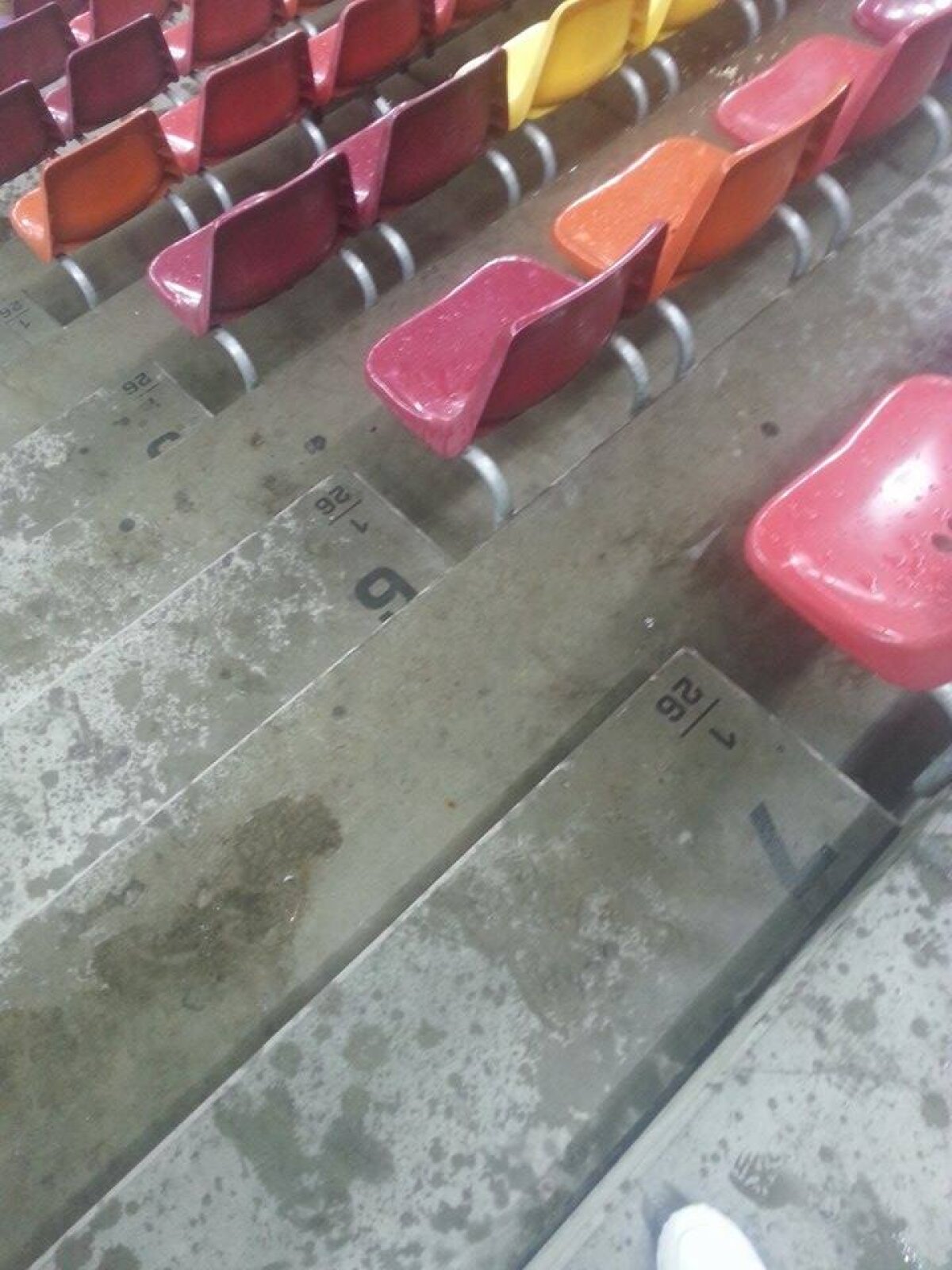 VIDEO + FOTO Imagini scandaloase de la Steaua - Voluntari: Arena Națională a fost inundată!