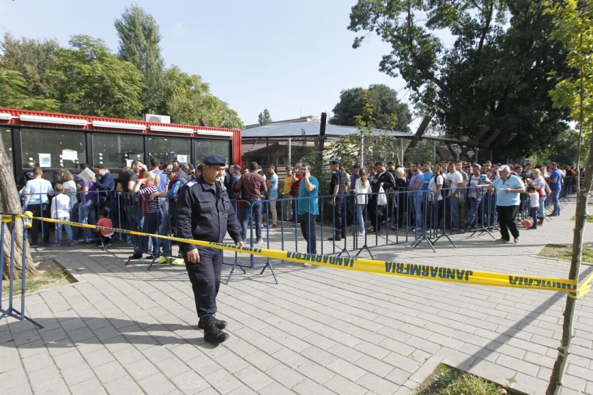 FOTO UPDATE Cozi de zeci de metri la Arena Națională! Oamenii sînt nemulțumiți că au rămas fără tichete » Record de bilete vîndute în trei ore!