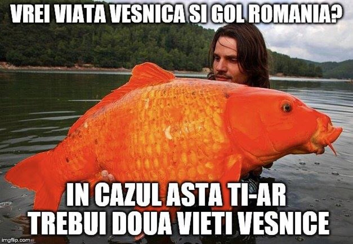 FOTO Cele mai tari poante pe net după remiza cu Finlanda!