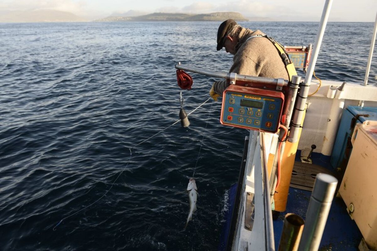 FOTO Noul Papillon, regele-pescar » Povestea hollywoodiană a lui Doru Tiberiu a Torvladnum, primul român stabilit în Feroe