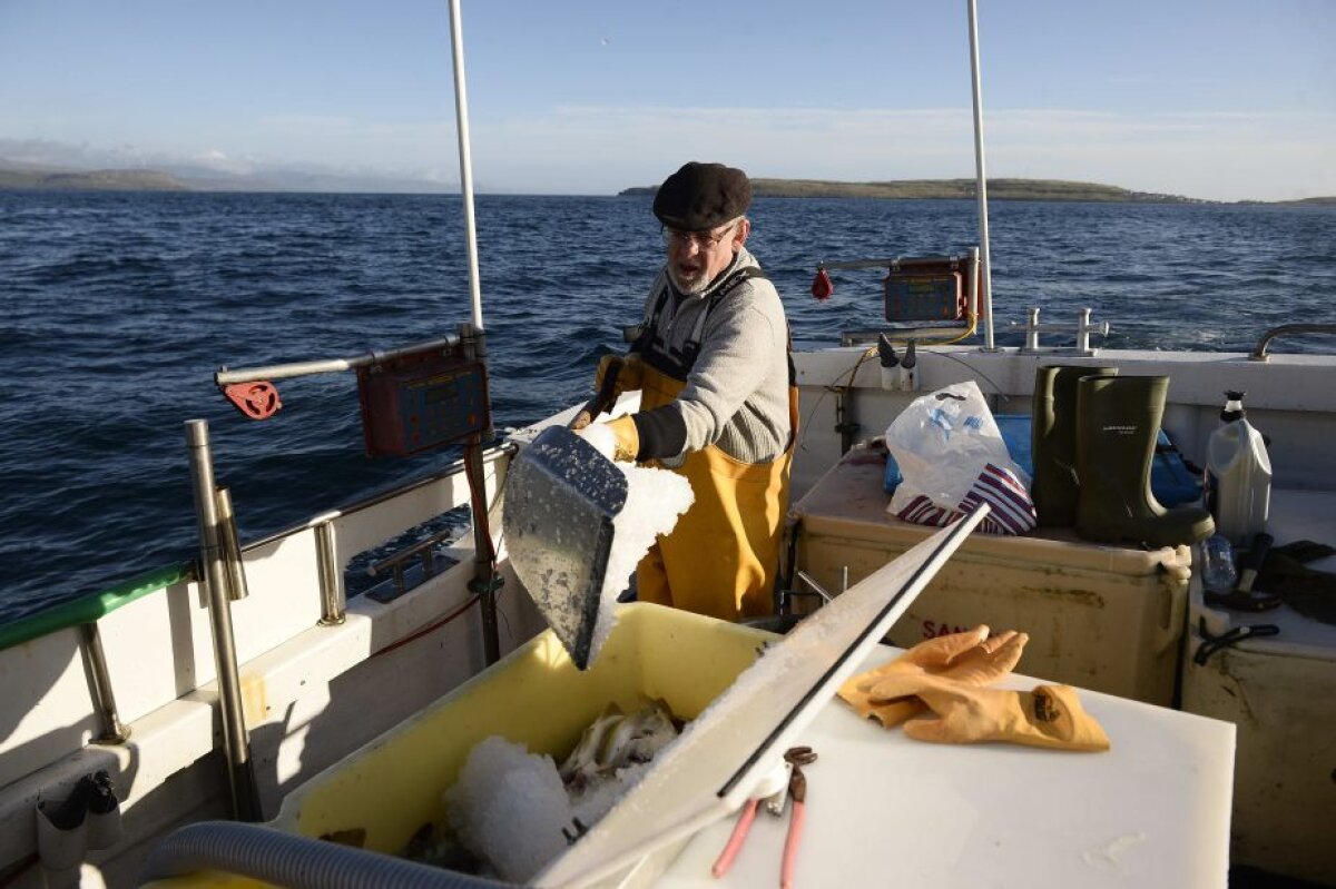 FOTO Noul Papillon, regele-pescar » Povestea hollywoodiană a lui Doru Tiberiu a Torvladnum, primul român stabilit în Feroe