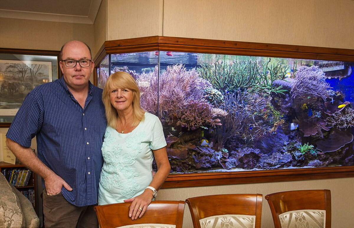 Și-a trimis soția în vacanță pentru a face o modificare în casă! Rezultatul te va lăsa cu gura căscată