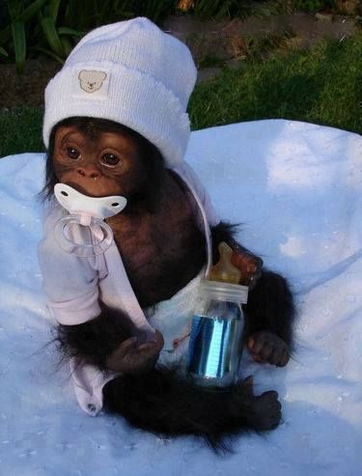 Acestea sunt unele dintre cele mai amuzante imagini! Cu siguranță îți vor smulge un zîmbet