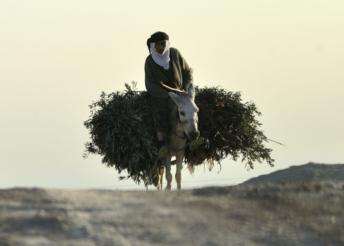 SUPERFOTO Am fost în Irak: reportaj EXCLUSIV al Gazetei cu Ilie Stan, în cel mai riscant campionat al lumii! » Unde fotbalul bate ISIS