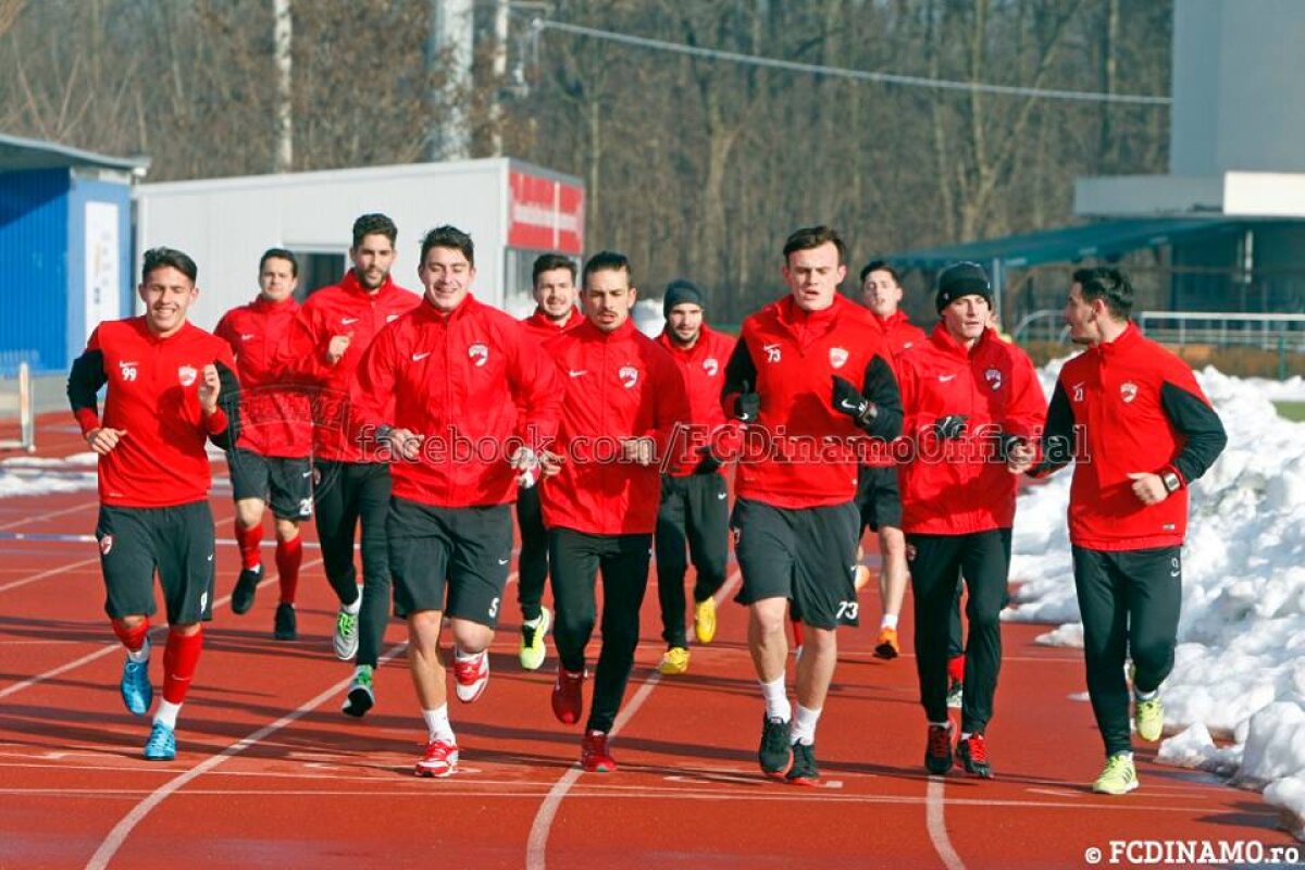 GALERIE FOTO Dinamo s-a reunit azi » Şase nume noi s-au antrenat sub comanda lui Rednic