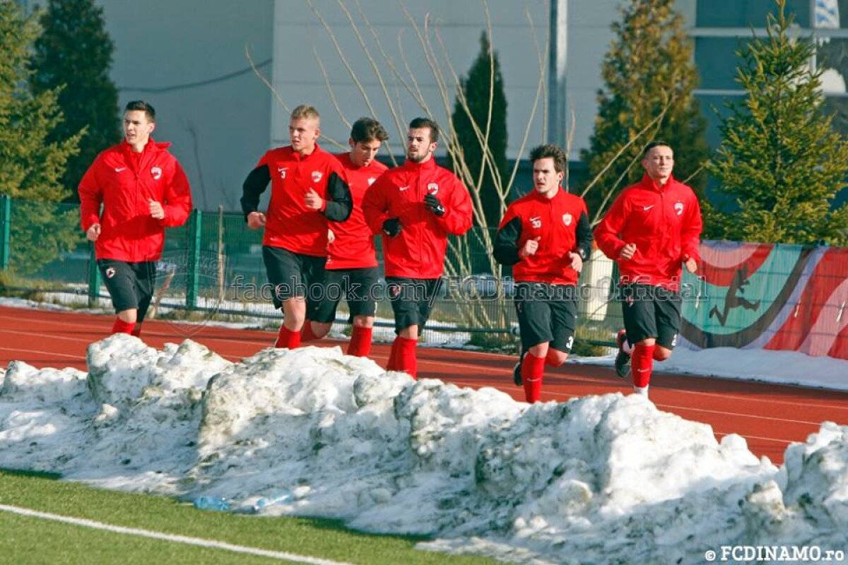 GALERIE FOTO Dinamo s-a reunit azi » Şase nume noi s-au antrenat sub comanda lui Rednic