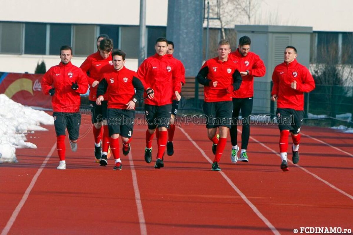 GALERIE FOTO Dinamo s-a reunit azi » Şase nume noi s-au antrenat sub comanda lui Rednic