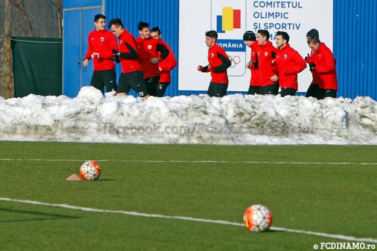 GALERIE FOTO Dinamo s-a reunit azi » Şase nume noi s-au antrenat sub comanda lui Rednic