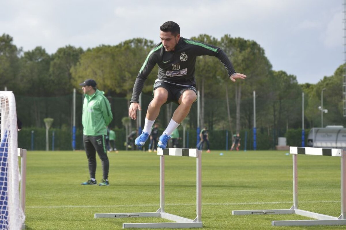 GALERIE FOTO Steliștii au fost puși la jug » Cum a arătat antrenamentul de azi al roș-albaștrilor