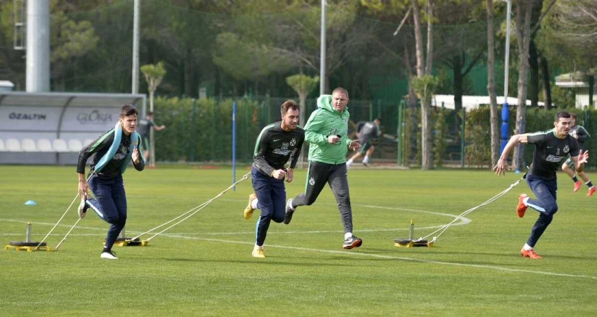 GALERIE FOTO Steliștii au fost puși la jug » Cum a arătat antrenamentul de azi al roș-albaștrilor