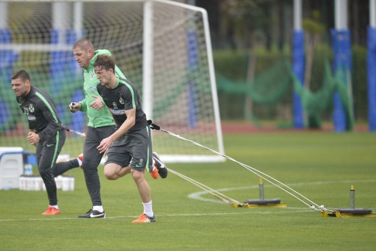 GALERIE FOTO Steliștii au fost puși la jug » Cum a arătat antrenamentul de azi al roș-albaștrilor