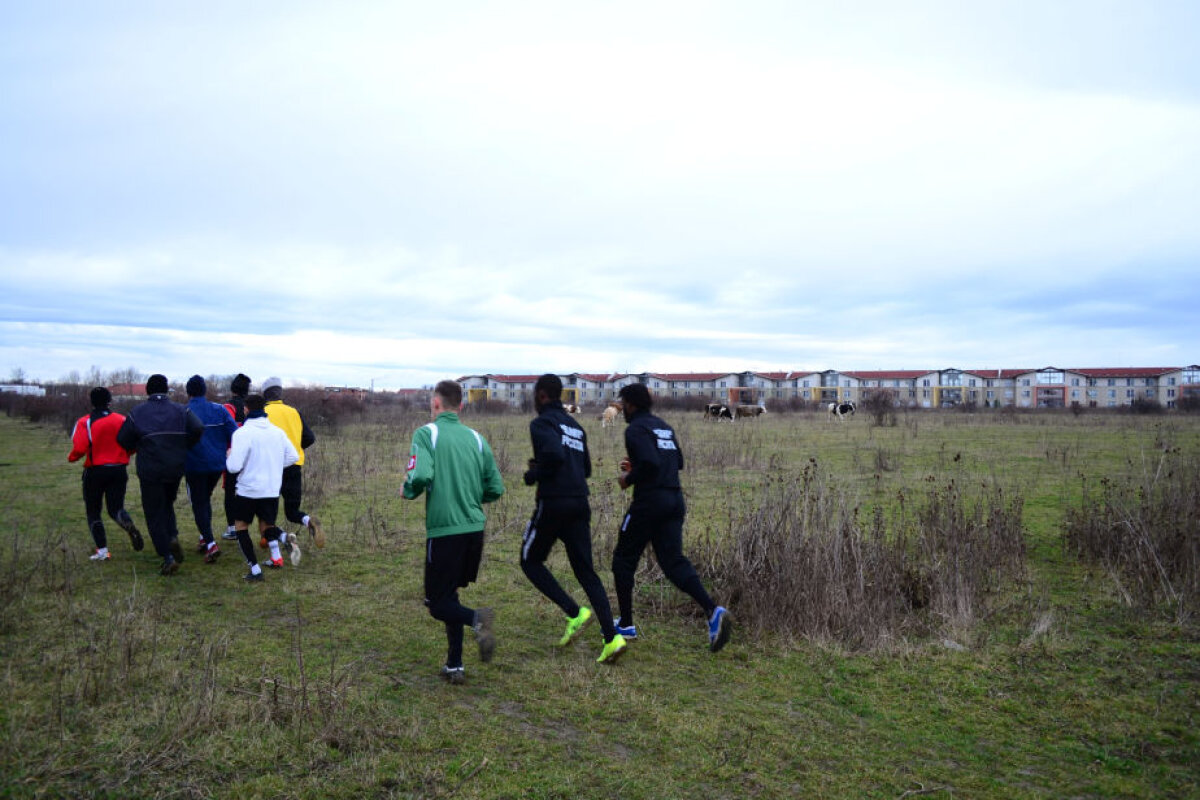 FOTO Şoimii Pîncota s-a antrenat ieri la marginea oraşului, printre mărăcini şi bovine: "Cine l-a pus pe ăla cu vacile să vină chiar cînd ne antrenam?!" :)
