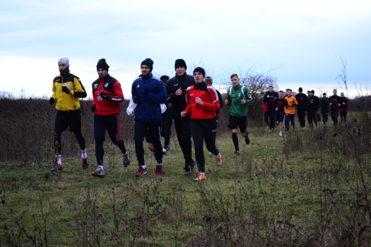 FOTO Şoimii Pîncota s-a antrenat ieri la marginea oraşului, printre mărăcini şi bovine: "Cine l-a pus pe ăla cu vacile să vină chiar cînd ne antrenam?!" :)