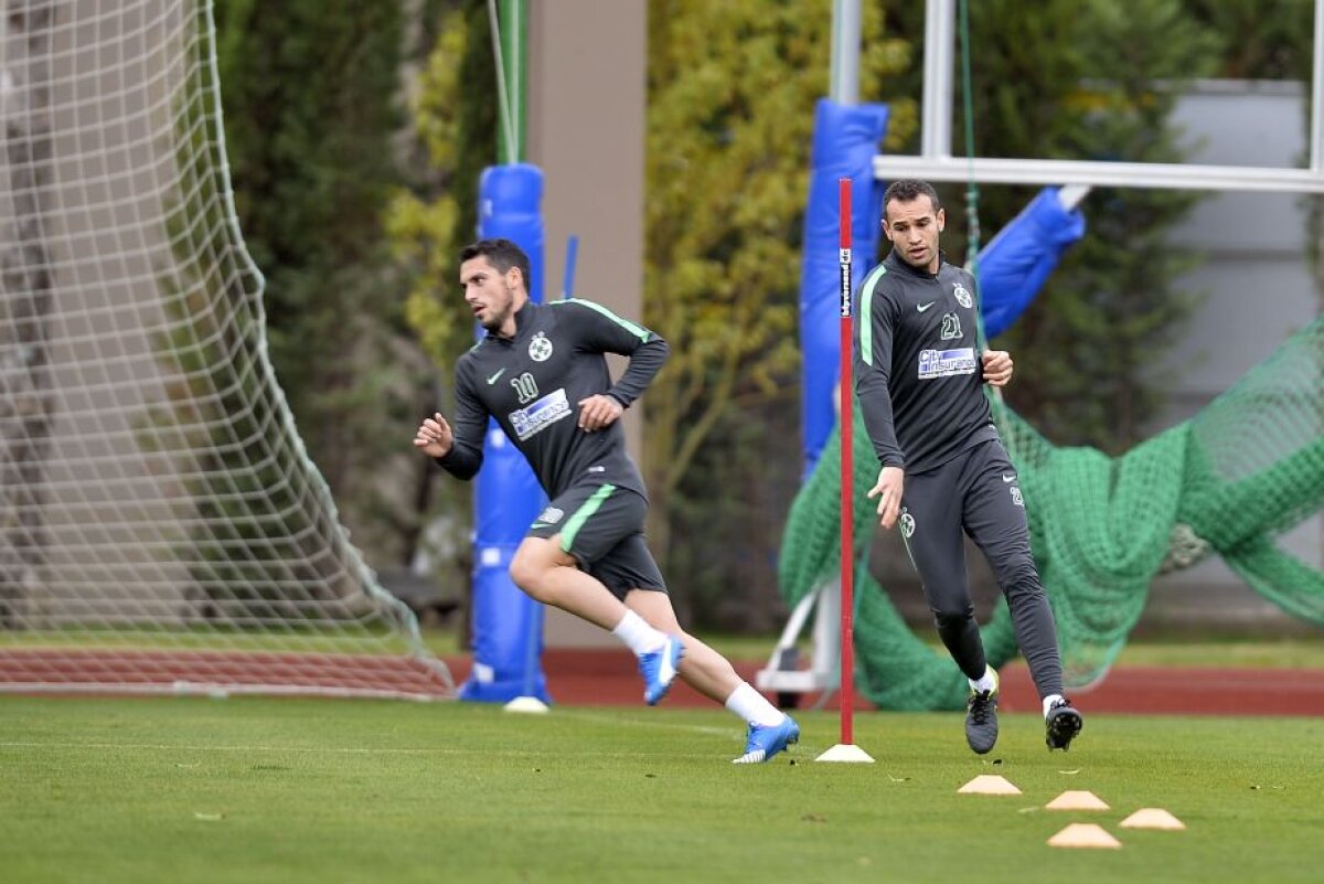 GALERIE FOTO Bawab a ajuns în cantonamentul Stelei » Primele imagini cu atacantul iordanian sub comanda lui Reghe