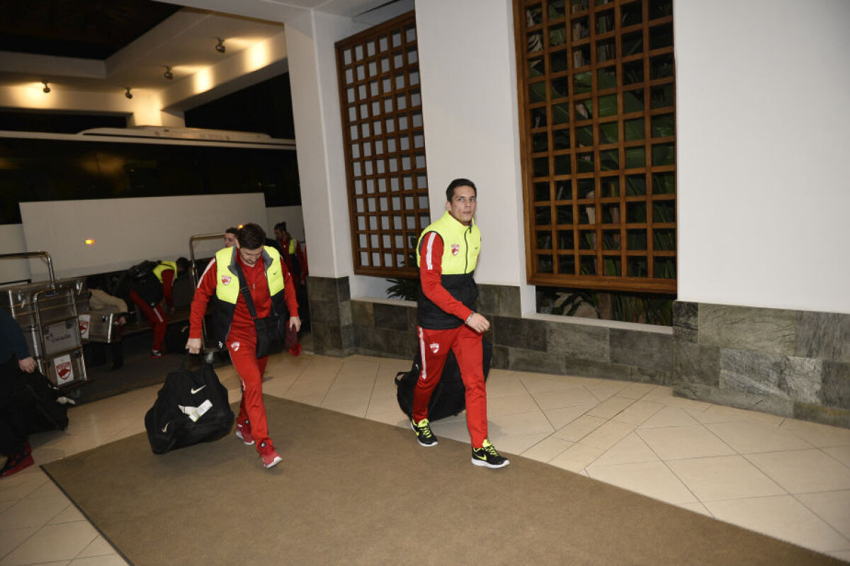 FOTO "Cîinii" au ajuns în Cipru » Imagini de la sosirea lui Dinamo