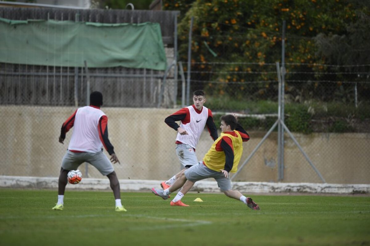 GALERIE FOTO Primele imagini din cantonamentul lui Dinamo » Rednic i-a luat tare pe "cîini"!