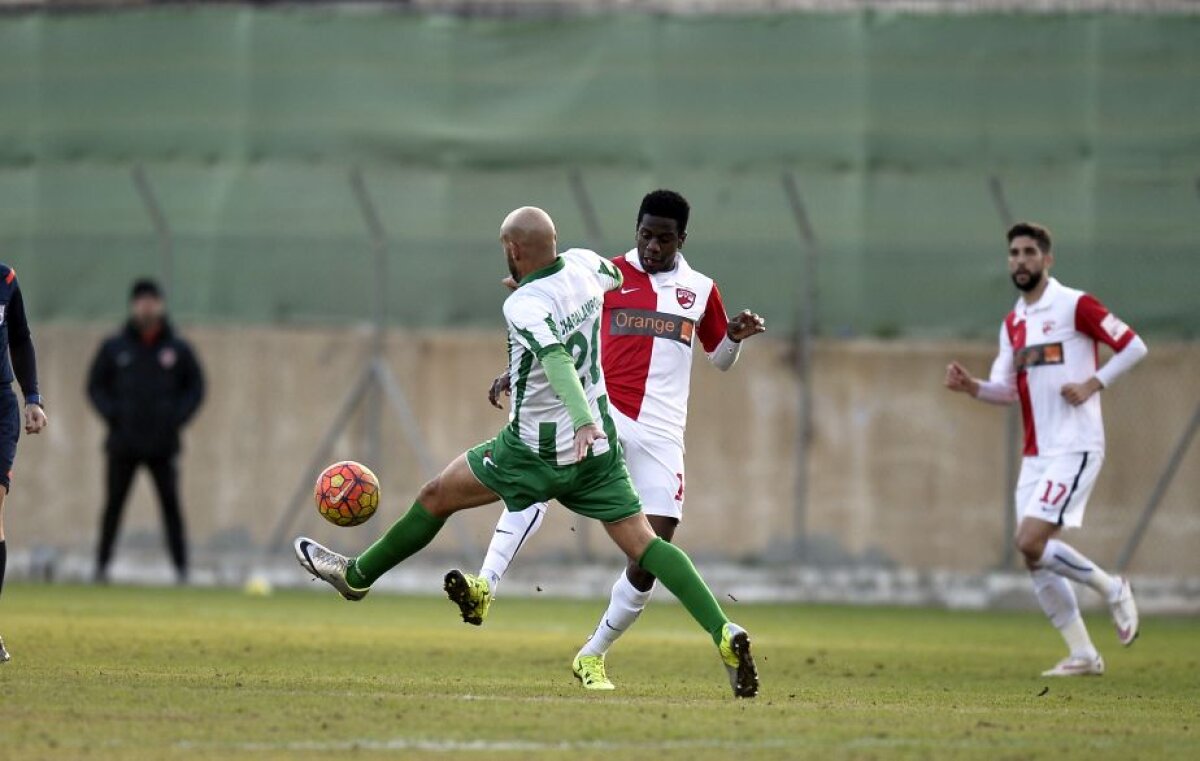 GALERIE FOTO » Dinamo - Aris Limassol 1-1 » "Cîinii" se specializează în remize 