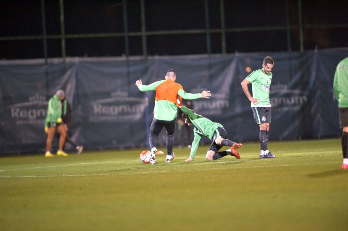 GALERIE FOTO Primele imagini cu Gebhart sub comanda lui Reghe » Neamțul s-a antrenat cot la cot cu noii colegi