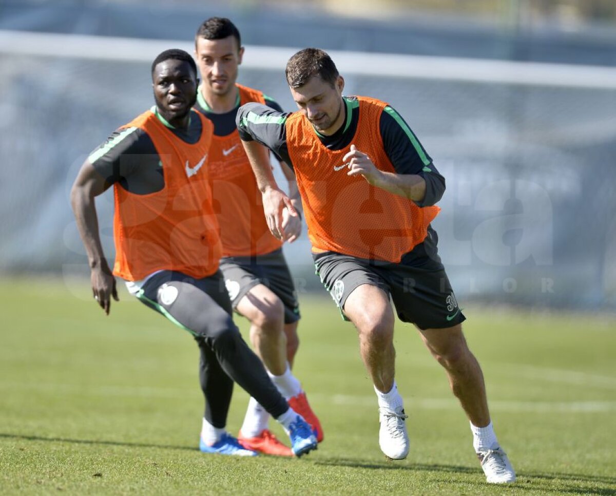 FOTO EXCLUSIV Primele imagini cu Tamaș la antrenamentele Stelei! » Cînd poate debuta fundașul sub comanda lui Reghe