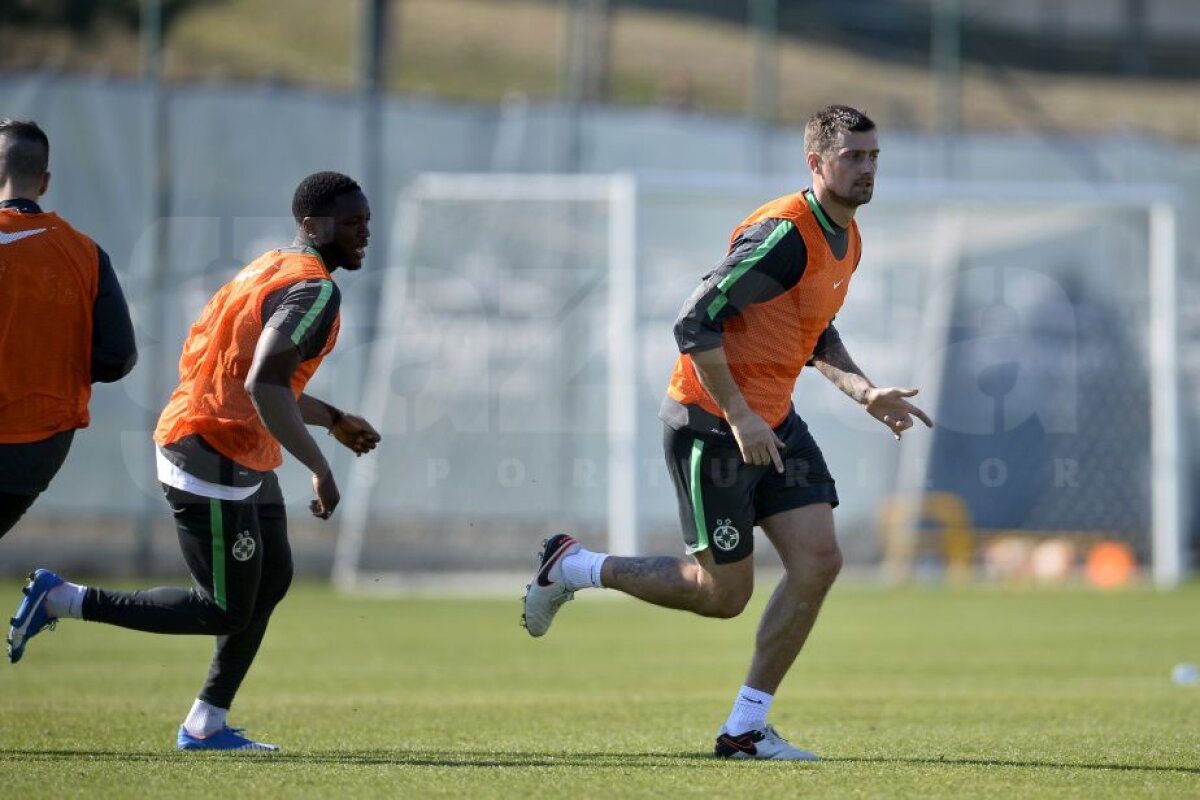 FOTO EXCLUSIV Primele imagini cu Tamaș la antrenamentele Stelei! » Cînd poate debuta fundașul sub comanda lui Reghe