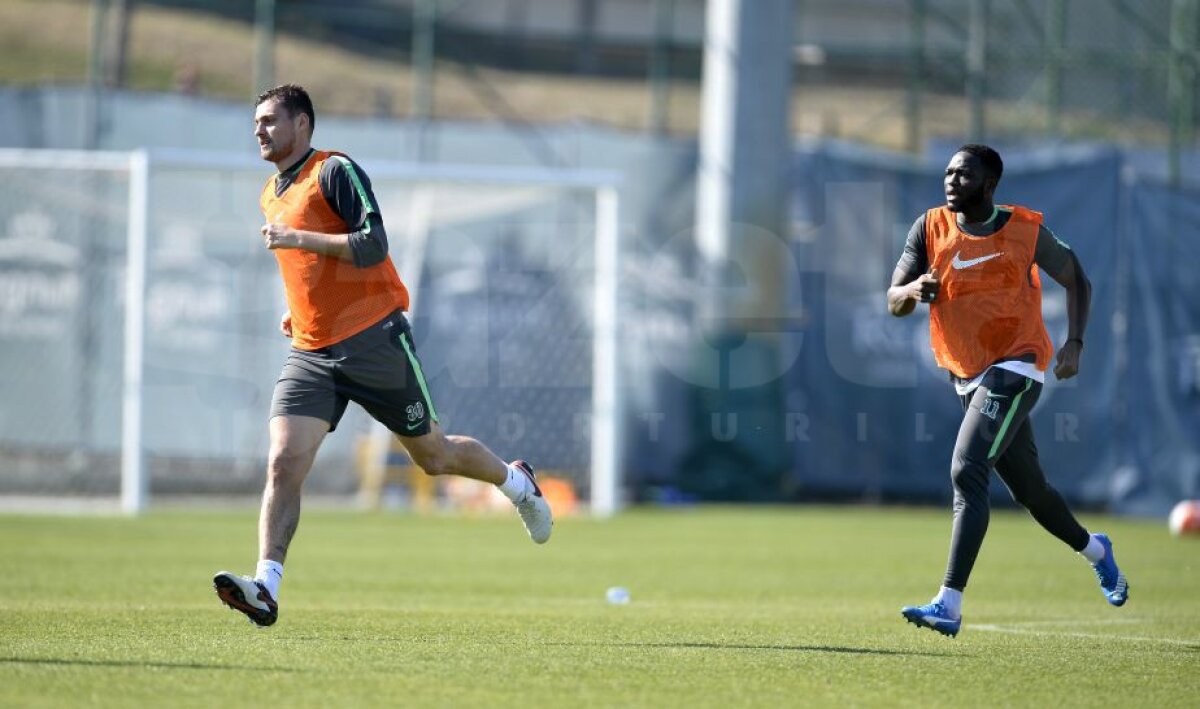 FOTO EXCLUSIV Primele imagini cu Tamaș la antrenamentele Stelei! » Cînd poate debuta fundașul sub comanda lui Reghe