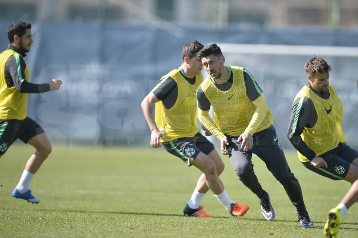 FOTO EXCLUSIV Primele imagini cu Tamaș la antrenamentele Stelei! » Cînd poate debuta fundașul sub comanda lui Reghe