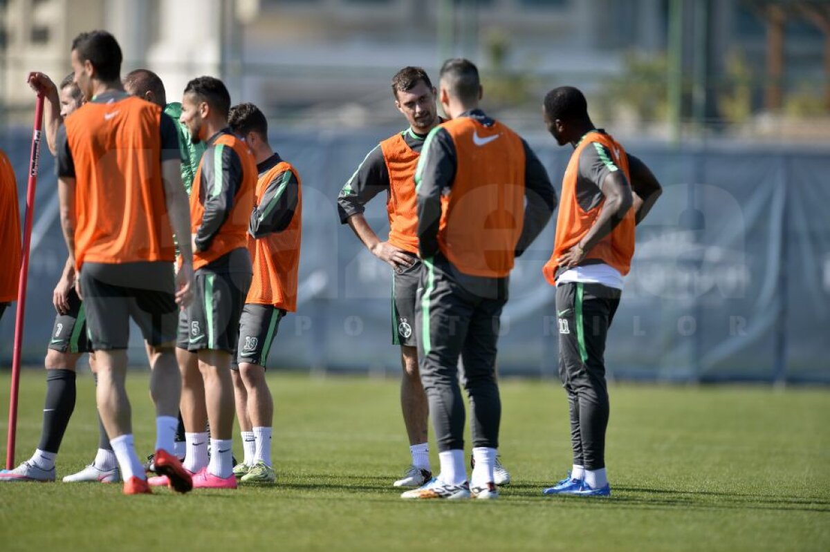 FOTO EXCLUSIV Primele imagini cu Tamaș la antrenamentele Stelei! » Cînd poate debuta fundașul sub comanda lui Reghe