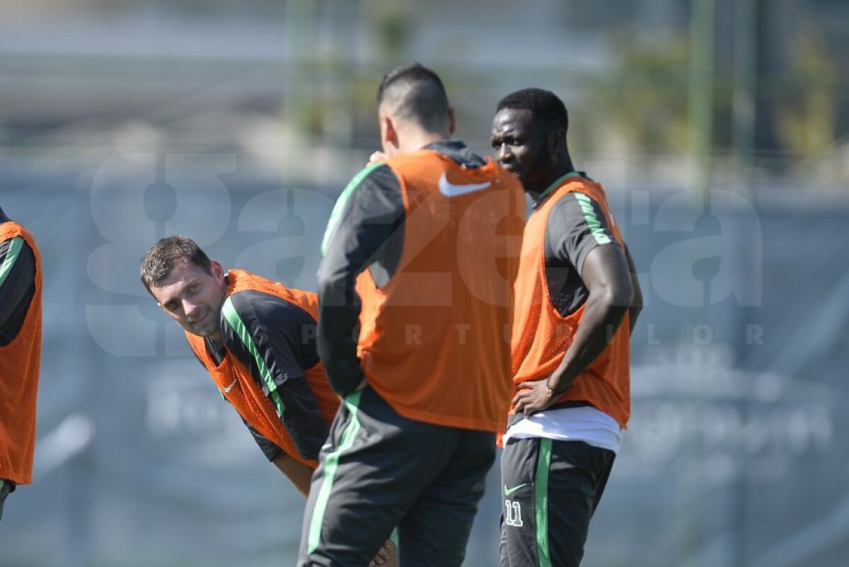 FOTO EXCLUSIV Primele imagini cu Tamaș la antrenamentele Stelei! » Cînd poate debuta fundașul sub comanda lui Reghe