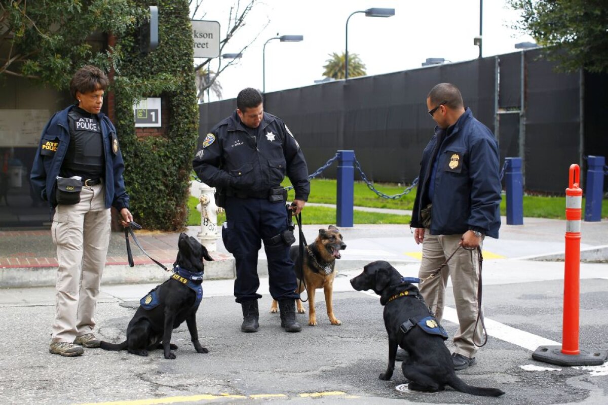 Fotografia zilei - cele mai interesante imagini ale lunii februarie în sport