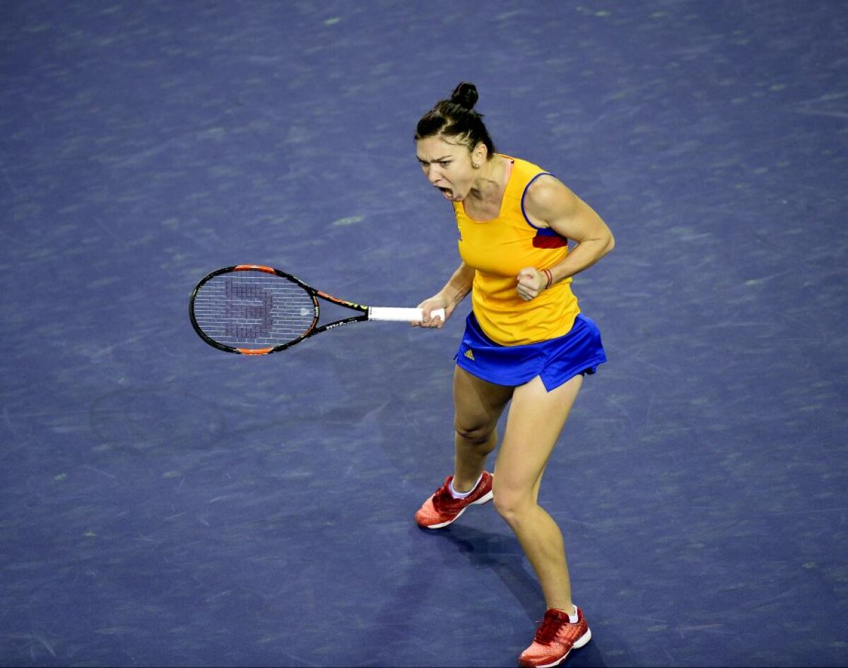 FOTO + VIDEO România - Cehia 1-1» Victorie URIAȘĂ pentru Monica Niculescu, după ce Halep pierduse primul meci al zilei