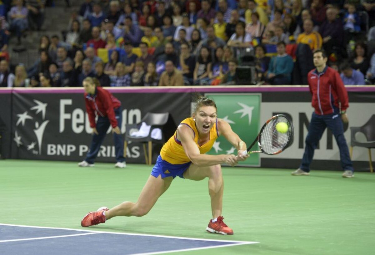 FOTO + VIDEO România - Cehia 1-1» Victorie URIAȘĂ pentru Monica Niculescu, după ce Halep pierduse primul meci al zilei