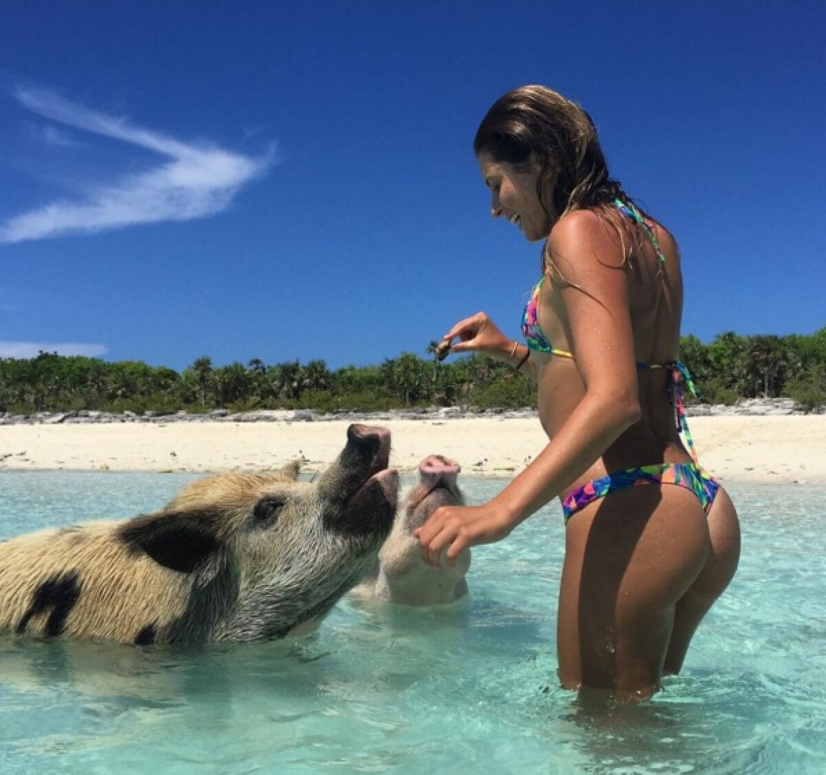 Cea mai fierbinte galerie foto » Ea este cea mai sexy surferiță și incinge imaginația fanilor