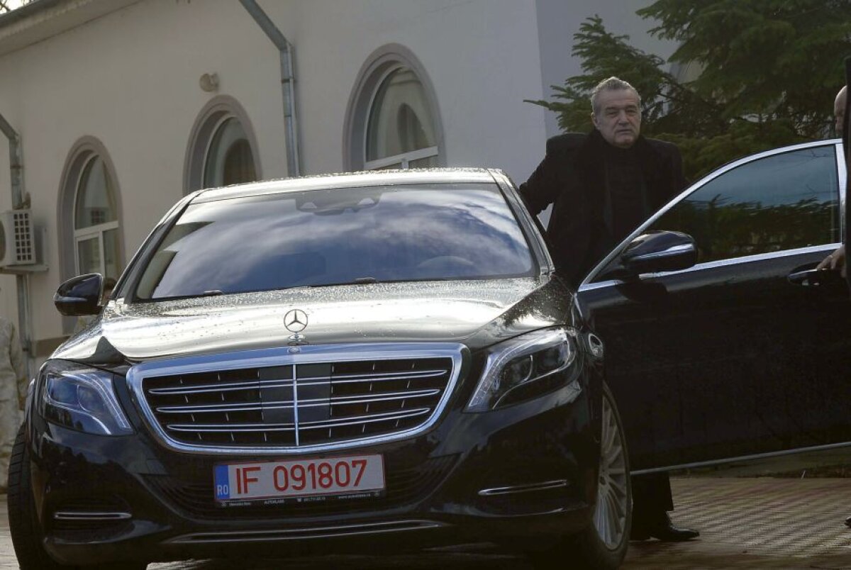 O nouă achiziție făcută de Gigi Becali! Patronul Stelei a "prezentat-o"