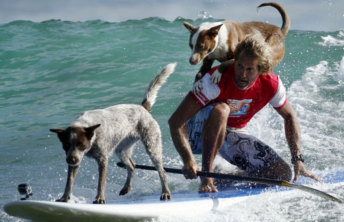 Fotografia zilei - cele mai interesante imagini ale lunii februarie în sport