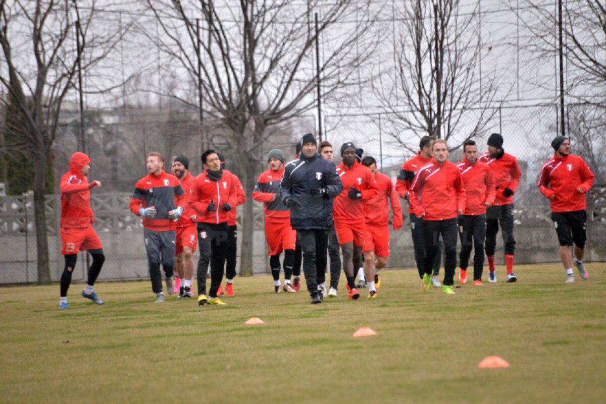 EXCLUSIV Decizia drastică luată de Șumudică la Botoșani! Enache plătește pentru vizita la Chiajna