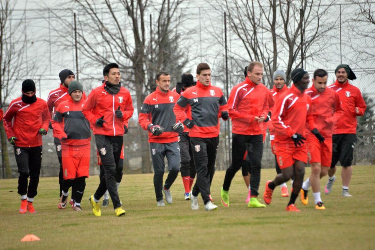 EXCLUSIV Decizia drastică luată de Șumudică la Botoșani! Enache plătește pentru vizita la Chiajna