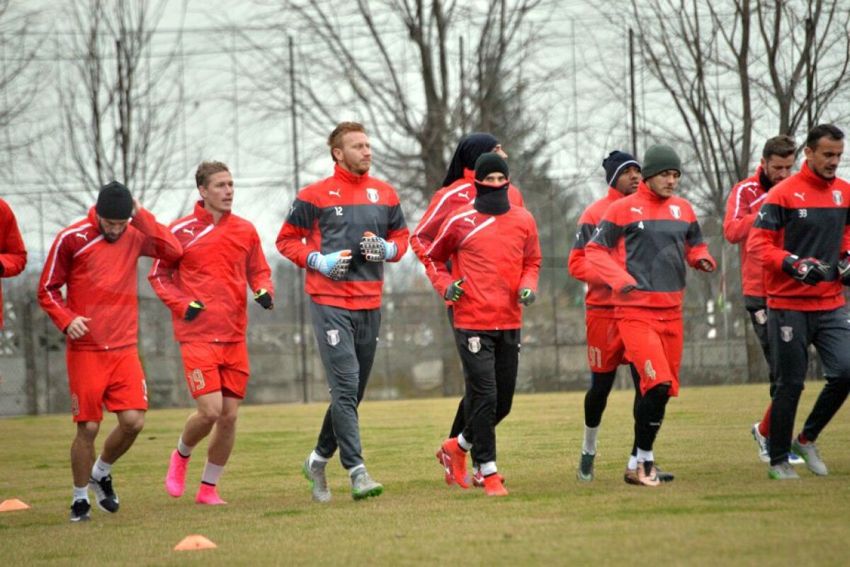 EXCLUSIV Decizia drastică luată de Șumudică la Botoșani! Enache plătește pentru vizita la Chiajna