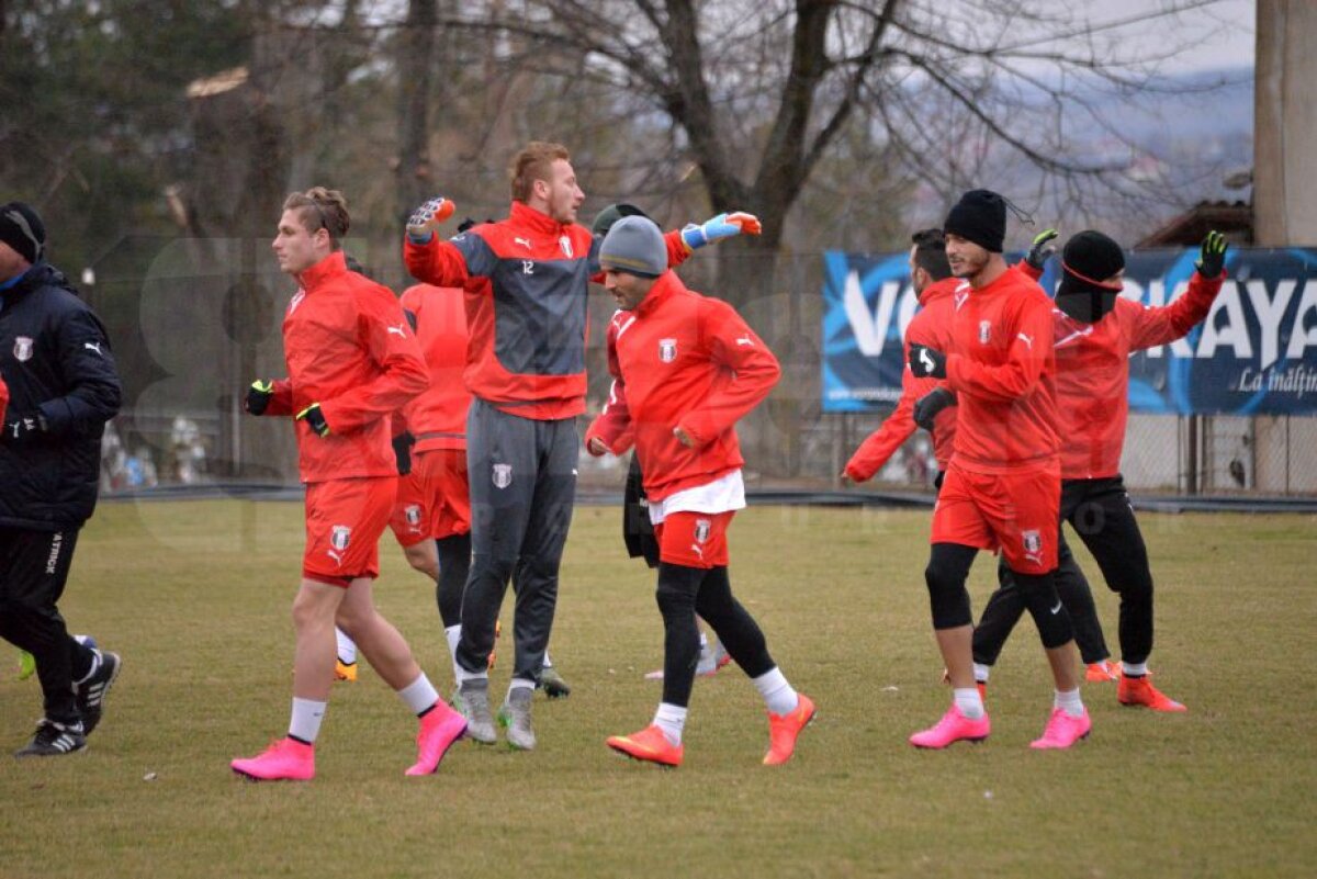 EXCLUSIV Decizia drastică luată de Șumudică la Botoșani! Enache plătește pentru vizita la Chiajna