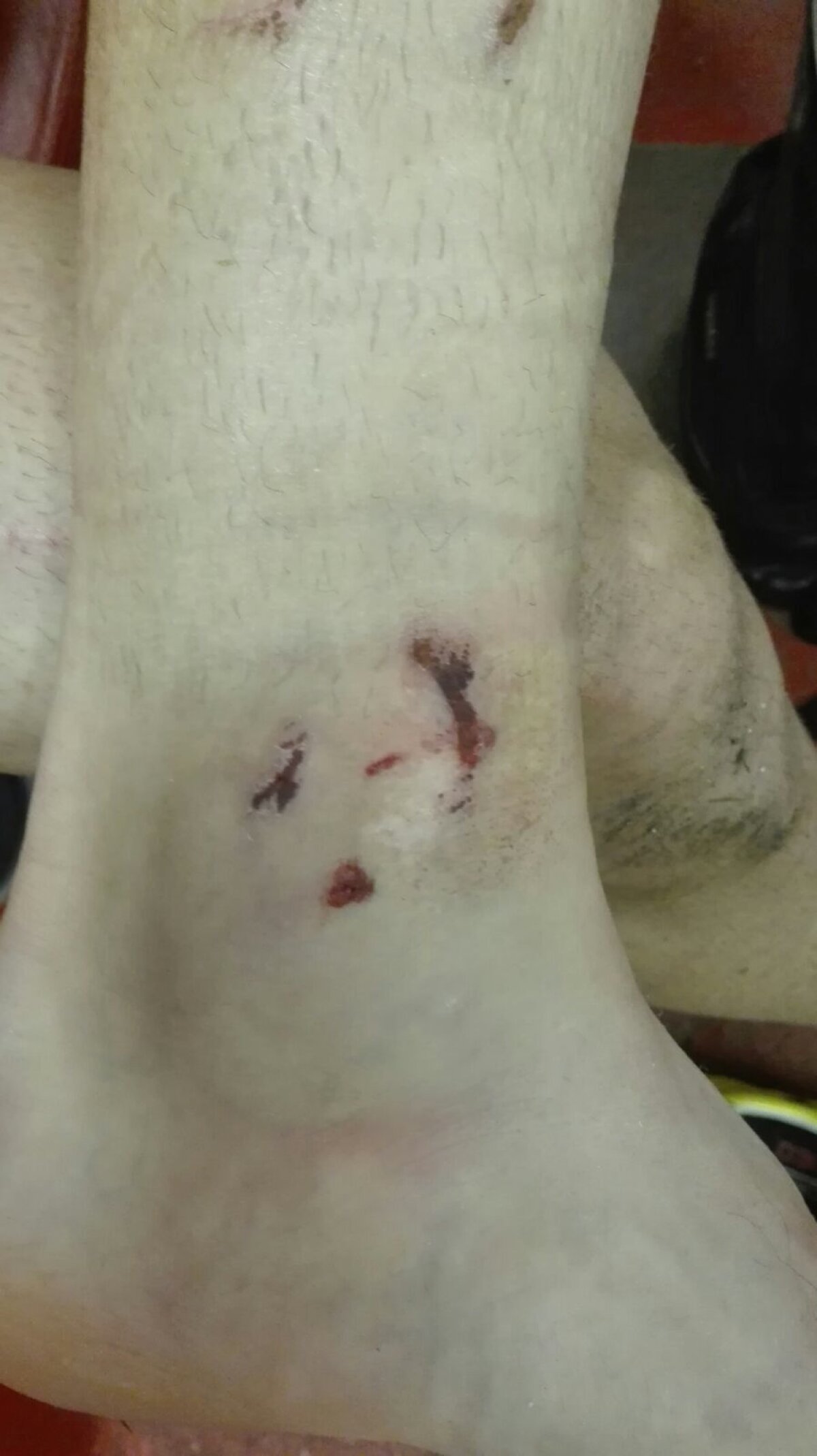 VIDEO Cronică de Cristian Geambașu: Era degetală a fotbalului » Rezervele lui Reghe au fost mai periculoase decât bizonii lui Rednic, scor 0-0