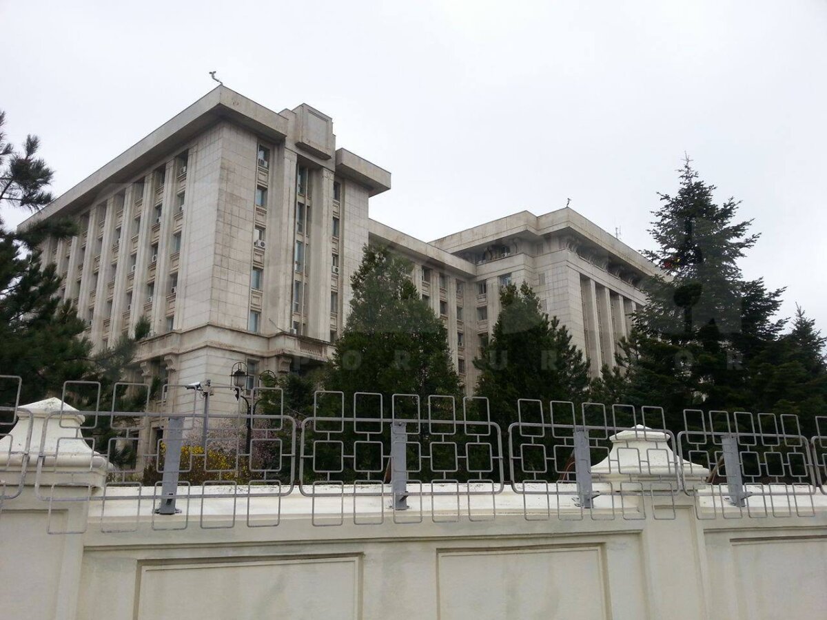 EXCLUSIV FOTO Suporterii Stelei au trecut la fapte » Gestul unui stelist care a fost astăzi în fața CSA-ului, MApN-ului și a Guvernului: "Vreau să vină și Peluza Nord"