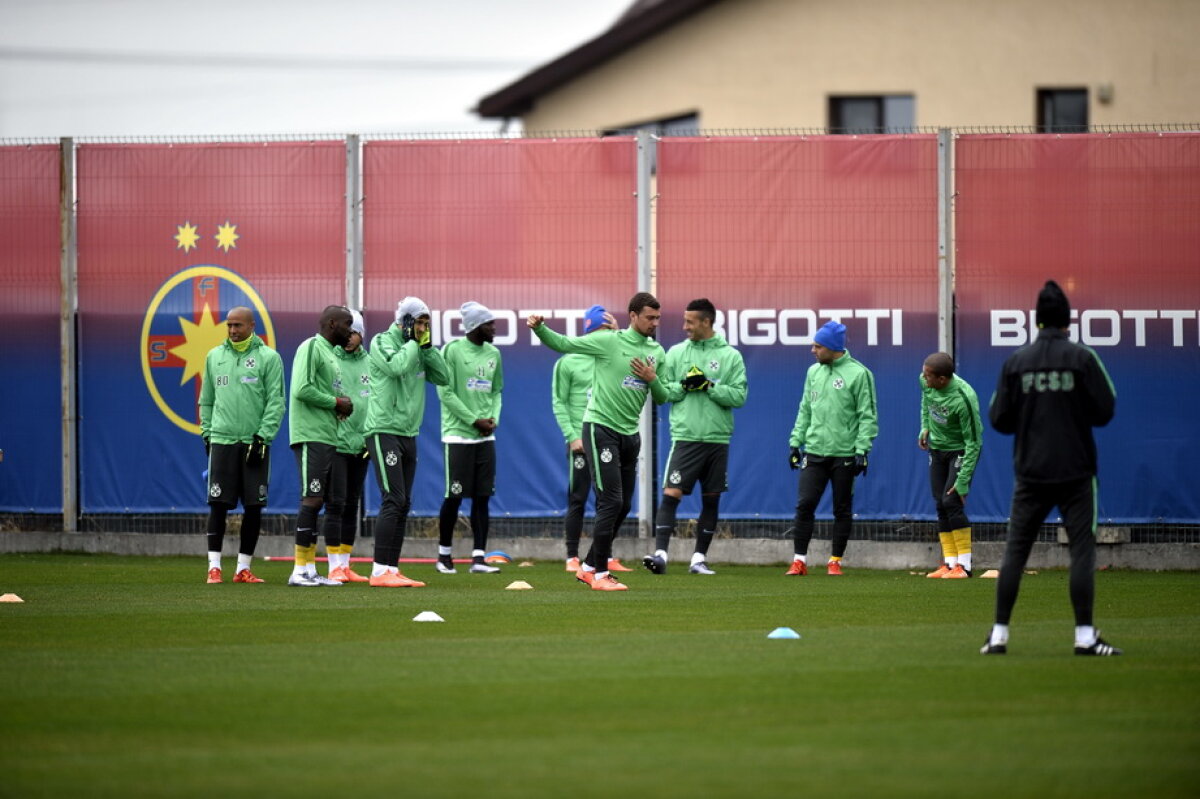 GALERIE FOTO + VIDEO Marica a lipsit de la antrenamentul Stelei » Reghe a avut un nou jucător la dispoziție