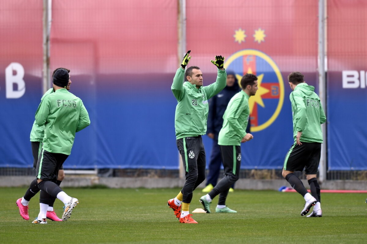 GALERIE FOTO + VIDEO Marica a lipsit de la antrenamentul Stelei » Reghe a avut un nou jucător la dispoziție