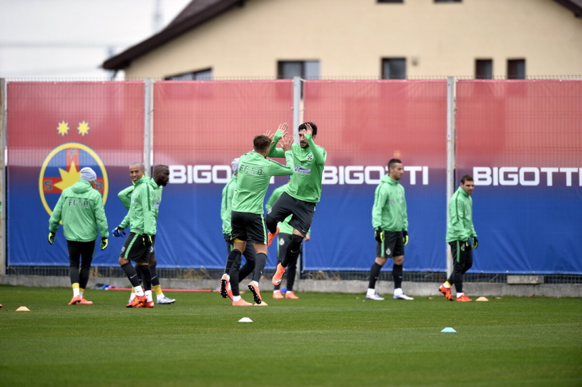 GALERIE FOTO + VIDEO Marica a lipsit de la antrenamentul Stelei » Reghe a avut un nou jucător la dispoziție