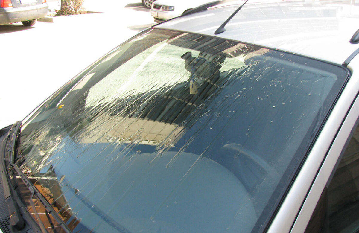 Salomir, pericol public » Fostul arbitru FIFA s-a răzbunat pe maşina unui ziarist din Piteşti 