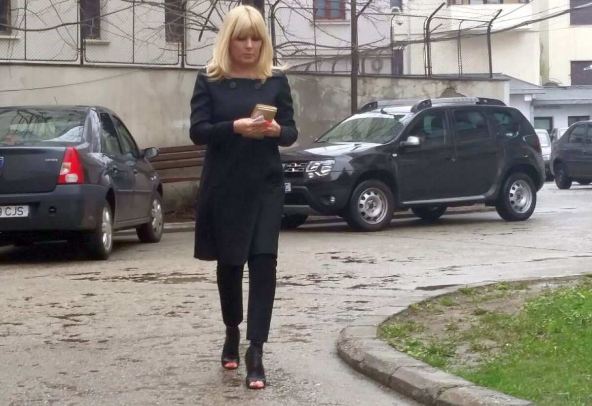 Dosarul "Gala Bute" » Elena Udrea: "Sunt discriminată!"/ Rudel Obreja: "Sunt revoltat!" » Înalta Curte a decis ca Udrea și Ariton să rămână sub control judiciar