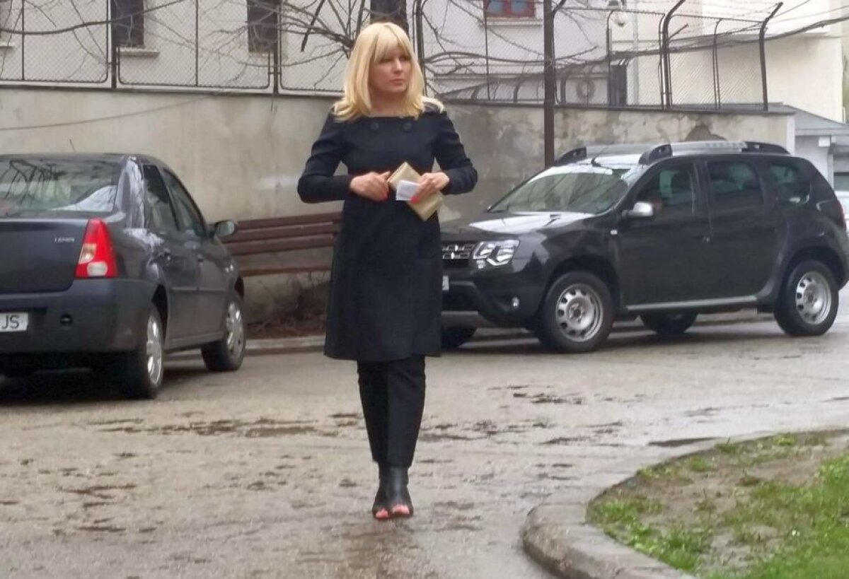 Dosarul "Gala Bute" » Elena Udrea: "Sunt discriminată!"/ Rudel Obreja: "Sunt revoltat!" » Înalta Curte a decis ca Udrea și Ariton să rămână sub control judiciar