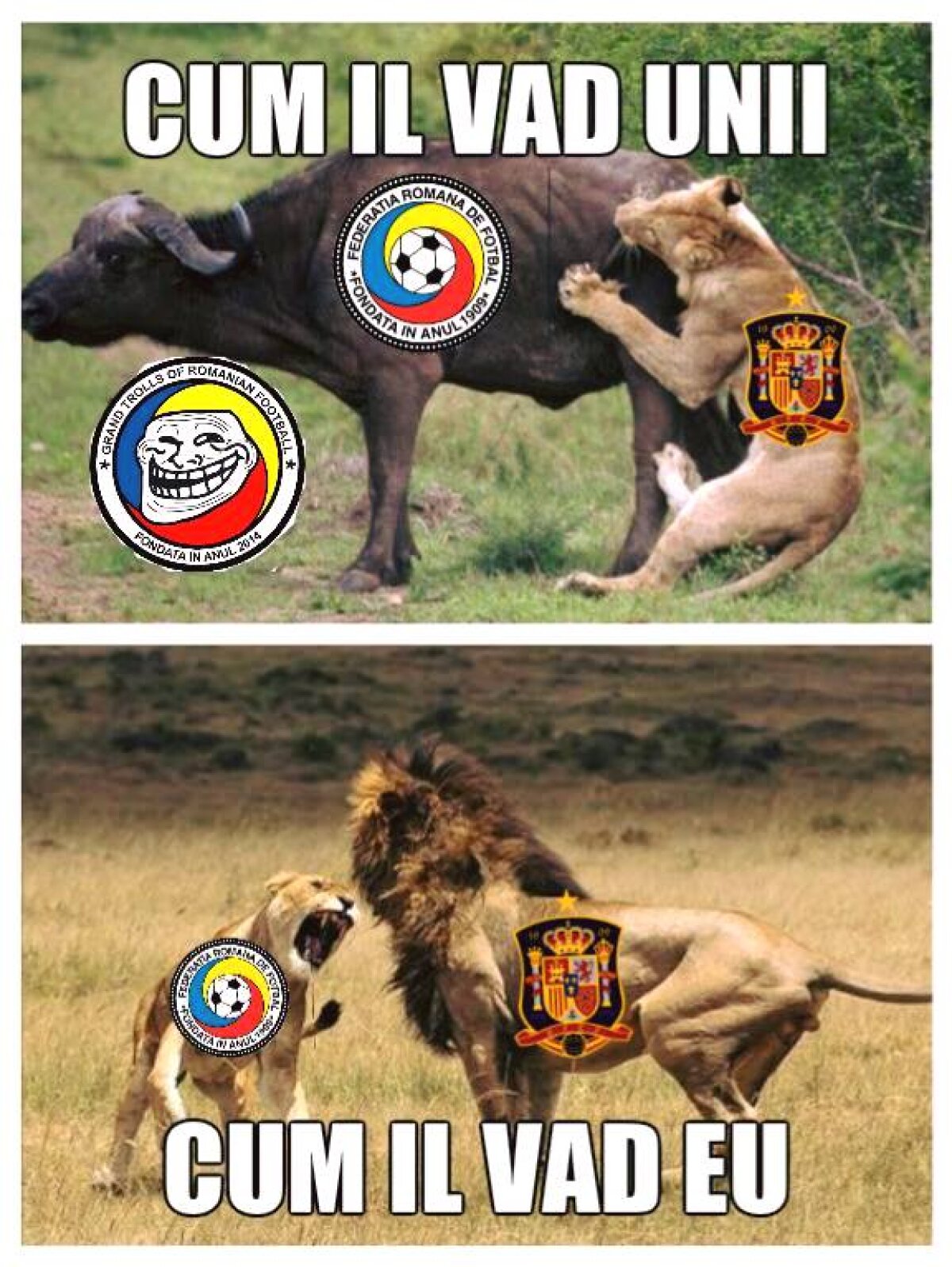 GALERIE FOTO Cele mai reușite meme-uri după România - Spania 0-0 » Am aflat și adevăratul motiv pentru care Ivan n-a dat gol ibericilor :)