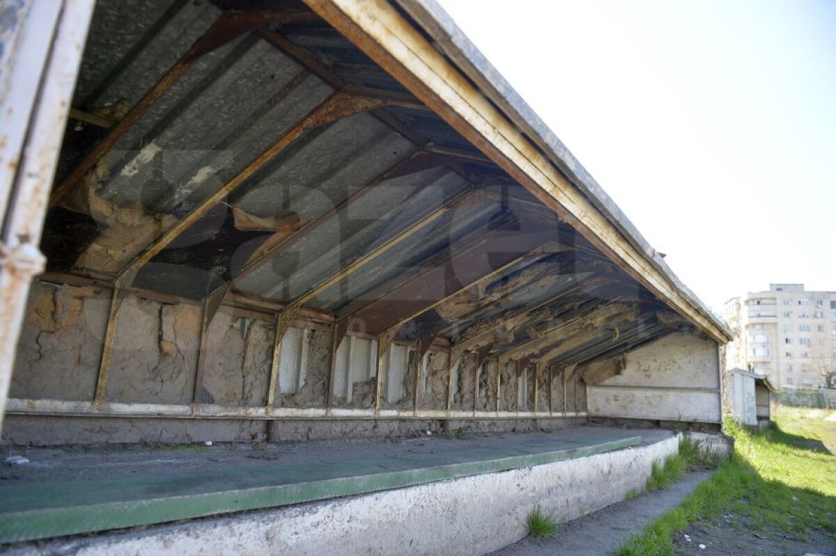 GALERIE FOTO Imagini tulburătoare» FotoReportaj GSP: un stadion de legendă din România este invadat de șoareci și bălării!